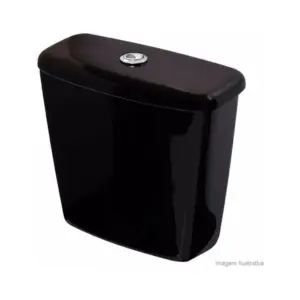 Caixa Acoplada Duo Fast Spot Rav Aspen Izy Eb Cd.00f.95 Deca