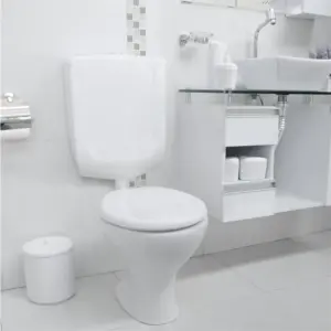Caixa de Descarga Baixa para Vaso Sanitário Branca - Imagem 1