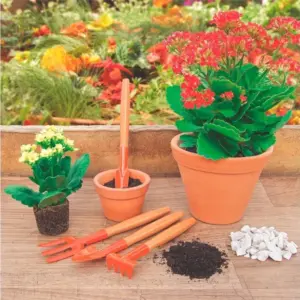 Conjunto para Jardim 4 Peças Laranja - Imagem 2