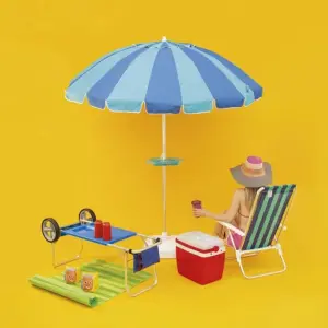 Carrinho de Praia - Mor - Imagem 5
