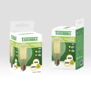 Lamp Filamento de Carbono Taschibra G80 40w 220v - Imagem 3