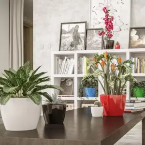 Vaso Cerâmico Munique Preto M - Japi