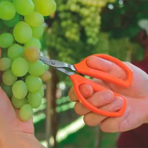 Tesoura para Frutas Laranja - Imagem 4