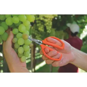 Tesoura para Frutas Profissional com Lâminas em Aço Inox - Tramontina - Imagem 4