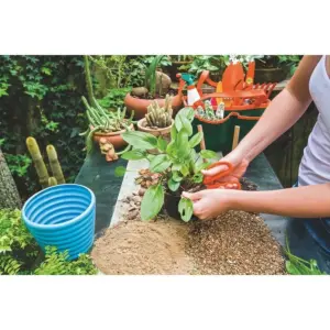 Tesoura para Frutas Profissional com Lâminas em Aço Inox - Tramontina - Imagem 5