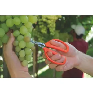 Tesoura para Frutas Profissional com Lâminas em Aço Inox - Tramontina - Imagem 7