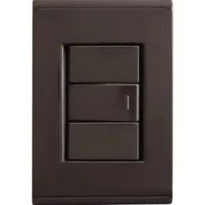 Conjunto 4x2 com 1 Interruptor Simples 10 a 250 V Tramontina Liz Grafite Tramontina