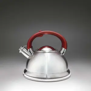 Chaleira de Aço Inox com Fundo Triplo Diletta - Imagem 10