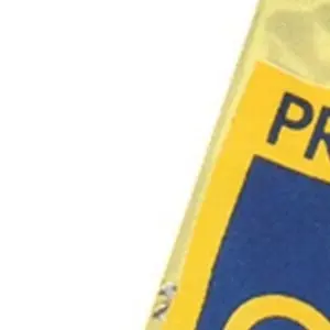 Prego com Cabeça 1kg 14 Jp X 21 Lpp Gp - Imagem 2