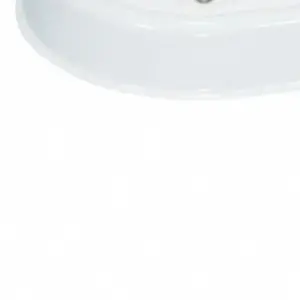 Tartaruga Suprema 40w Branco - Taschibra - Imagem 4