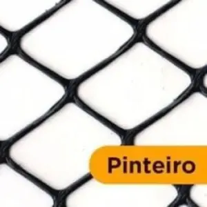 Tela Plástica de Pvc Pinteiro Número 04 - Roma - Imagem 5