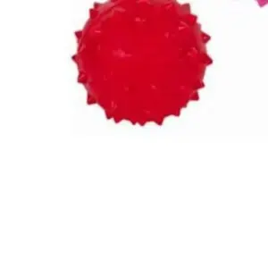 Bola de Borracha para Cachorro Cravo - Astra - Imagem 4